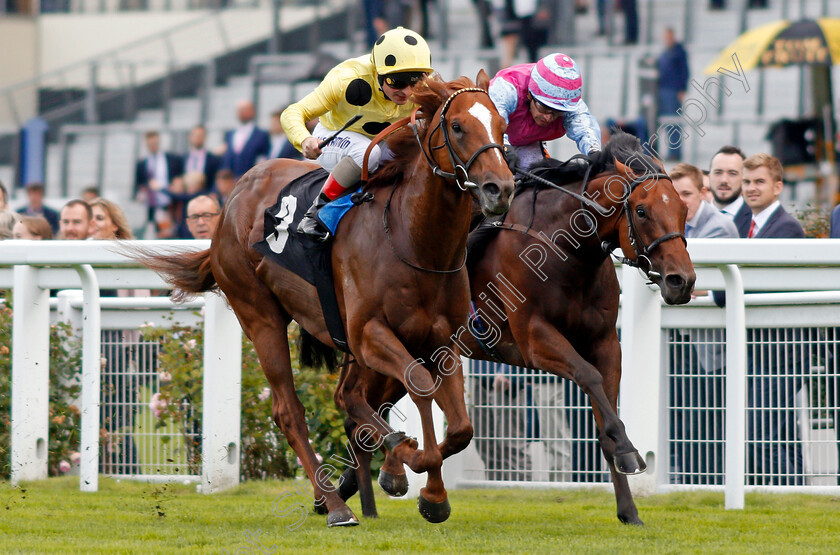 Cape-Byron-0002 
 CAPE BYRON (left, Andrea Atzeni) beats FIRE BRIGADE (right) in The Leo Bancroft Signature Hair Care Classified Stakes Ascot 8 Sep 2017 - Pic Steven Cargill / Racingfotos.com