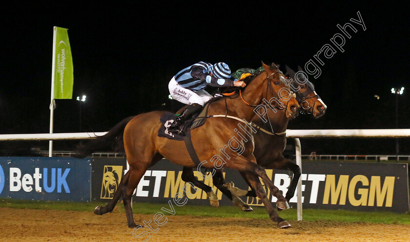 Bass-Player-0001 
 BASS PLAYER (Rossa Ryan) wins The Betmgm Handicap
Wolverhampton 20 Dec 2024 - Pic Steven Cargill / Racingfotos.com