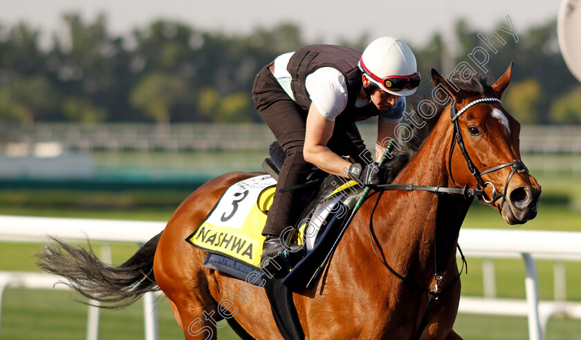 Nashwa-0001 
 NASHWA training for The Dubai Turf
Meydan Dubai 27 Mar 2024 - Pic Steven Cargill / Racingfotos.com