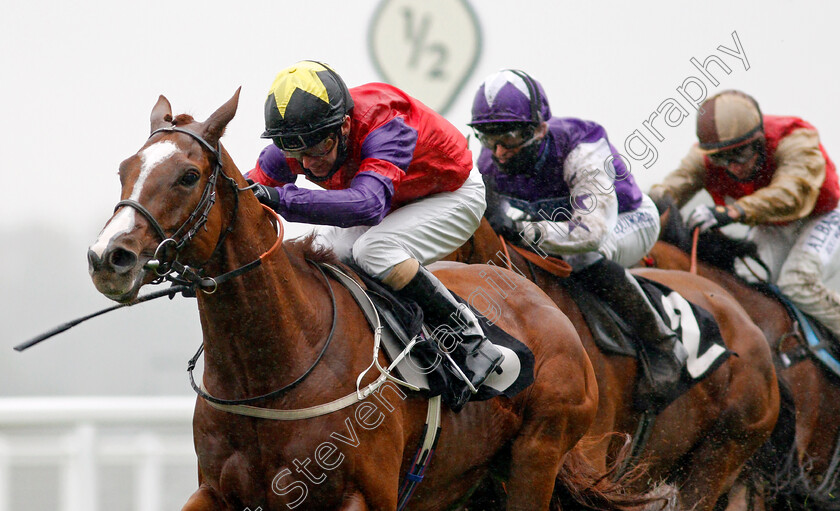 Rochester-House-0003 
 ROCHESTER HOUSE (Joe Fanning) wins The ABF Soldiers' Charity Gordon Carter Handicap
Ascot 2 Oct 2020 - Pic Steven Cargill / Racingfotos.com