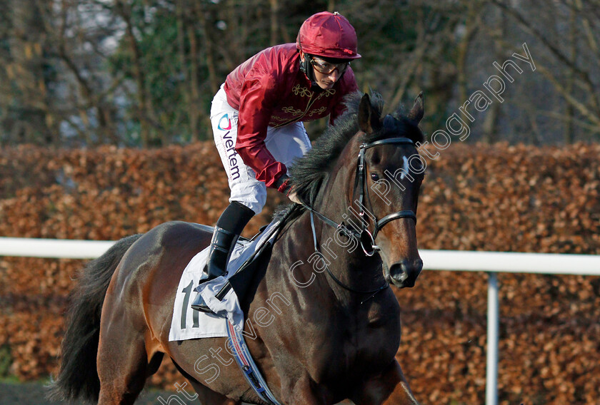 Surround-0002 
 SURROUND (P J McDonald)
Kempton 29 Jan 2020 - Pic Steven Cargill / Racingfotos.com