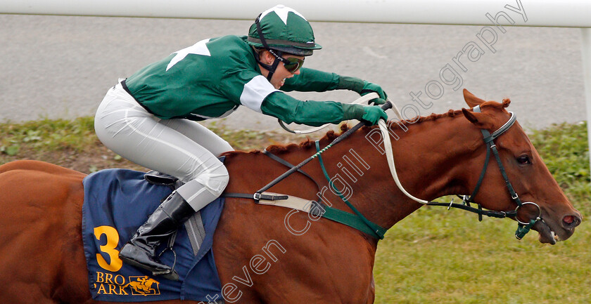 Martini-0003 
 MARTINI (Anna Pilroth) wins The Cafe Brasco Guldhandicap
Bro Park, Sweden 22 Sep 2019 - Pic Steven Cargill / Racingfotos.com