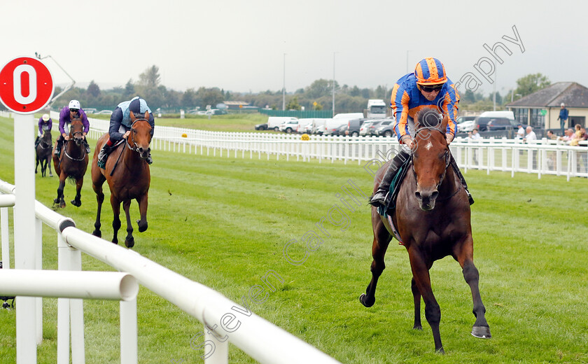 Henry-Longfellow-0004 
 HENRY LONGFELLOW (Ryan Moore) wins The Goffs Vincent O'Brien National Stakes
The Curragh 10 Sep 2023 - Pic Steven Cargill / Racingfotos.com