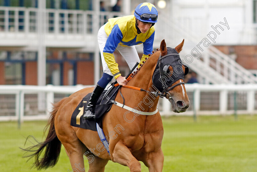 Nine-Elms-0001 
 NINE ELMS (Joe Leavy)
Nottingham 30 May 2023 - Pic Steven Cargill / Racingfotos.com