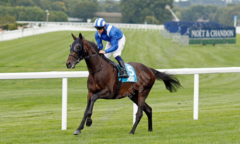 Mutaawid-0001 
 MUTAAWID (Jim Crowley)
Ascot 26 Jul 2024 - Pic Steven Cargill / Racingfotos.com