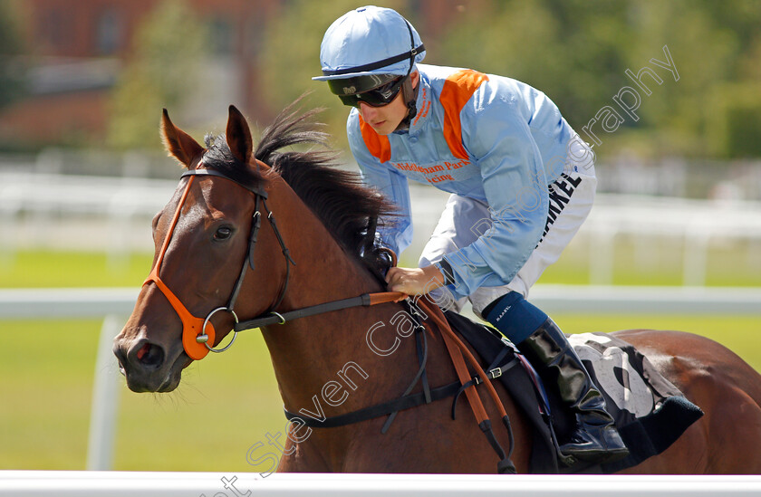 Sesame-Birah-0001 
 SESAME BIRAH (Tom Marquand)
Newbury 17 Aug 2019 - Pic Steven Cargill / Racingfotos.com