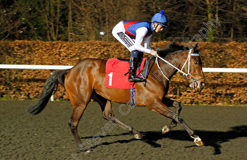 Ambient-0001 
 AMBIENT (David Egan) Kempton 7 Mar 2018 - Pic Steven Cargill / Racingfotos.com