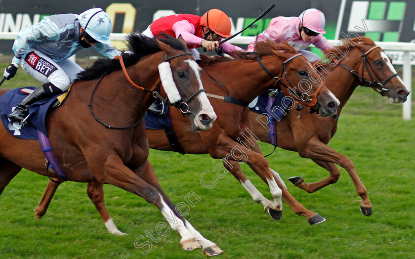 Expert-Opinion,-Pretty-Shiftwell-and-Moonshiner-0001 
 EXPERT OPINION (left, Hayley Turner) PRETTY SHIFTWELL (centre) and MOONSHINER (right) 
Yarmouth 14 Jul 2021 - Pic Steven Cargill / Racingfotos.com