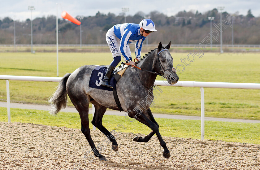 Happy-Power-0002 
 HAPPY POWER (David Probert)
Wolverhampton 12 Mar 2022 - Pic Steven Cargill / Racingfotos.com