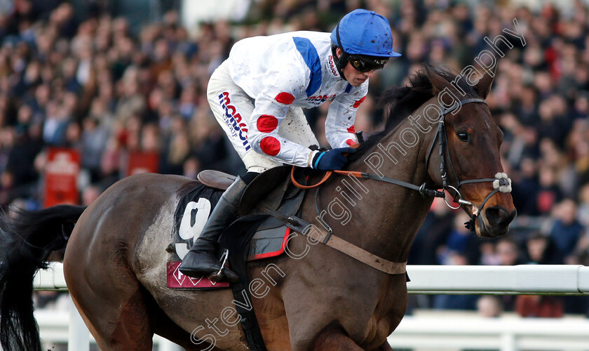 Casko-D Airy-0006 
 CASKO D'AIRY (Harry Cobden) wins The Foundation Developments Novices Handicap Hurdle
Ascot 22 Dec 2018 - Pic Steven Cargill / Racingfotos.com