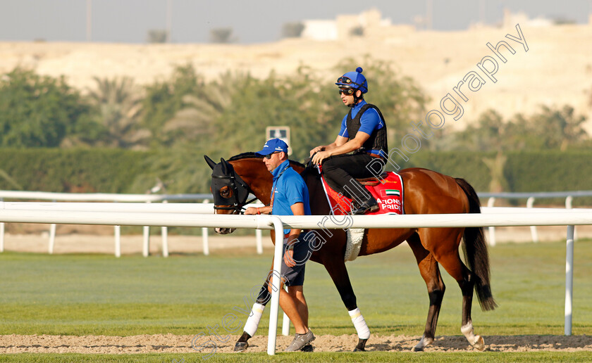 Nations-Pride-0002 
 NATIONS PRIDE training for the Bahrain International Trophy
Kingdom of Bahrain 13 Nov 2024 - Pic Steven Cargill / Racingfotos.com