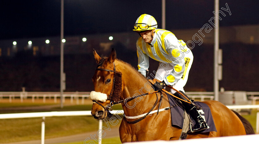 Supreme-Tenacity-0001 
 SUPREME TENACITY (Harry Russell) 
Wolverhampton 9 Mar 2024 - Pic Steven Cargill / Racingfotos.com