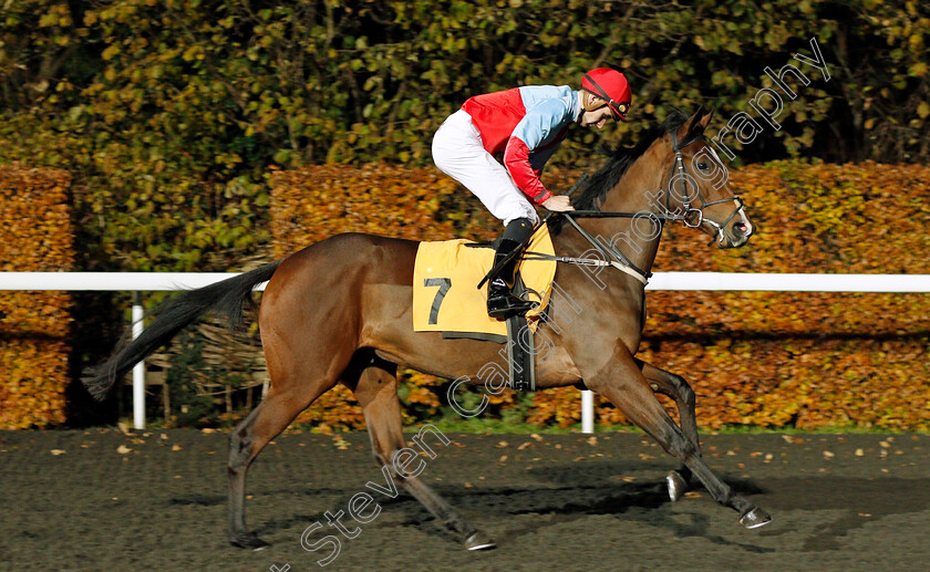 Cath-The-Great-0001 
 CATH THE GREAT (Hector Crouch)
Kempton 20 Nov 2019 - Pic Steven Cargill / Racingfotos.com