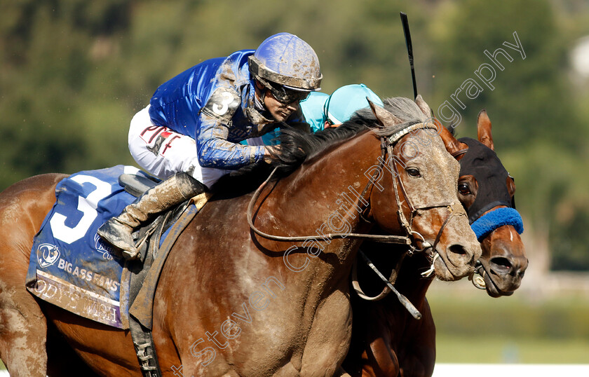 Cody s-Wish-0001 
 CODY'S WISH (left, Junior Alvarado) beats NATIONAL TREASURE (right, Flavien Prat) in The Breeders' Cup Dirt Mile
Santa Anita 4 Nov 2023 - Pic Steven Cargill / Racingfotos.com