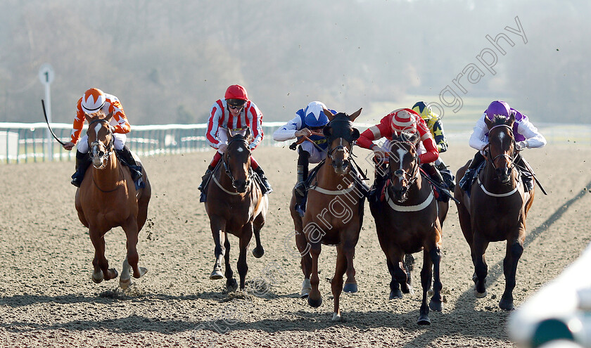 Exceeding-Power-0004 
 EXCEEDING POWER (2nd right, George Wood) beats PETITE JACK (centre) and COSMEAPOLITAN (right) in The Betway Casino Handicap
Lingfield 23 Feb 2019 - Pic Steven Cargill / Racingfotos.com