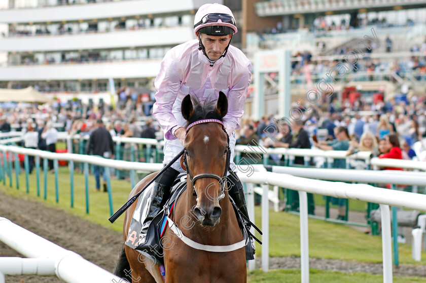 Polly-Pott-0005 
 POLLY POTT (Daniel Tudhope) winner of The Cazoo May Hill Stakes
Doncaster 8 Sep 2022 - Pic Steven Cargill / Racingfotos.com