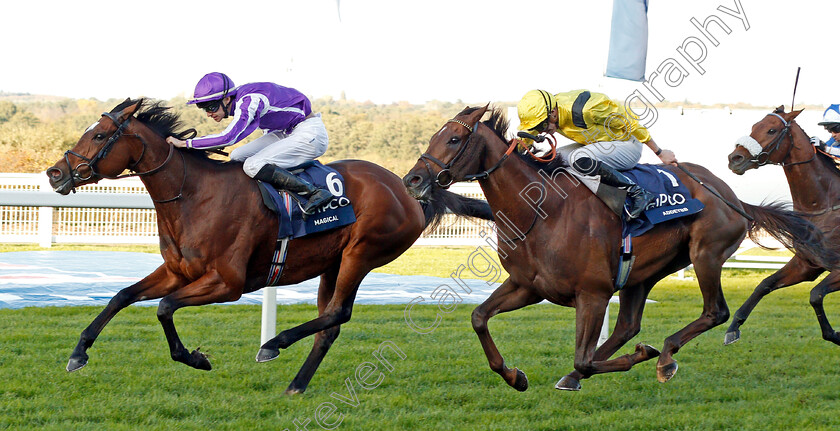 Magical-0003 
 MAGICAL (Donnacha O'Brien) beats ADDEYBB (right) in The Qipco Champion Stakes
Ascot 19 Oct 2019 - Pic Steven Cargill / Racingfotos.com