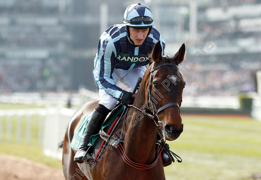 Gunfleet-0001 
 GUNFLEET (Adam Wedge)
Aintree 6 Apr 2019 - Pic Steven Cargill / Racingfotos.com