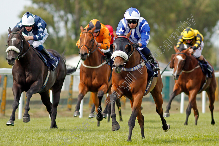 Wrath-Of-Hector-0004 
 WRATH OF HECTOR (Silvestre De Sousa) wins The Mansionbet Proud To Support British Racing Classified Stakes
Yarmouth 22 Jul 2020 - Pic Steven Cargill / Racingfotos.com