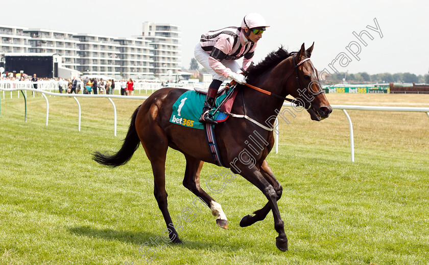 First-Sitting-0001 
 FIRST SITTING (Gerald Mosse)
Newbury 21 Jul 2018 - Pic Steven Cargill / Racingfotos.com