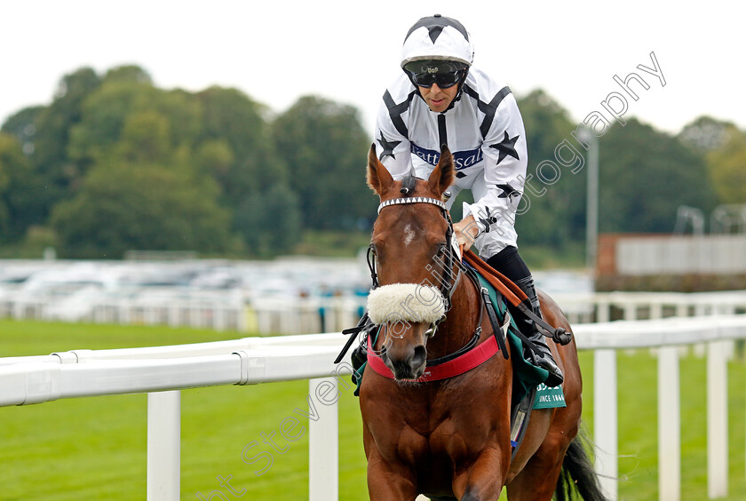 Land-Lover-0001 
 LAND LOVER (Ben Curtis)
York 24 Aug 2023 - Pic Steven Cargill / Racingfotos.com