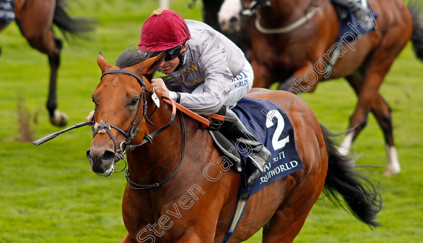 Lusail-0006 
 LUSAIL (Pat Dobbs) wins The Al Basti Equiworld Gimcrack Stakes
York 20 Aug 2021 - Pic Steven Cargill / Racingfotos.com