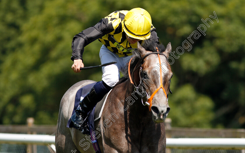 Straight-Ash-0006 
 STRAIGHT ASH (Seamus Cronin) wins The mintbet.com World Cup 1st Goalscorer 100% Boost Handicap
Brighton 3 Juj 2018 - Pic Steven Cargill / Racingfotos.com