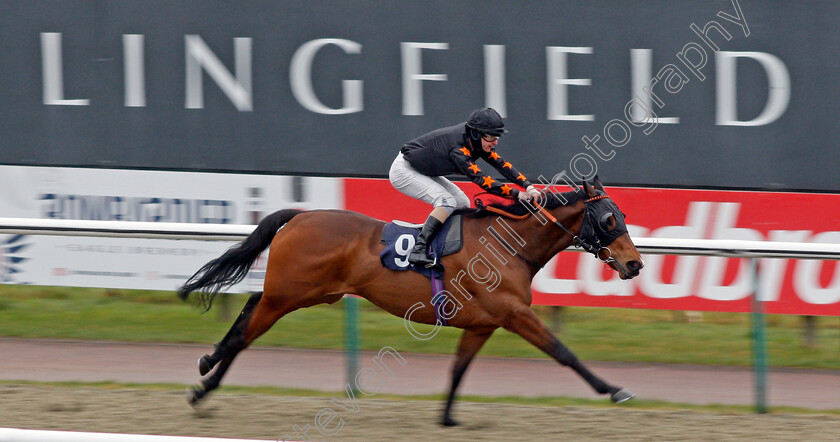 Aleatoric-0003 
 ALEATORIC (Richard Kingscote) wins The Play 4 To Win At Betway Handicap
Lingfield 10 Mar 2021 - Pic Steven Cargill / Racingfotos.com