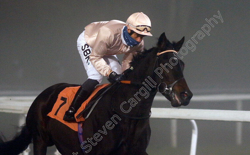 Graham-0001 
 GRAHAM (Sean Levey)
Kempton 16 Dec 2022 - Pic Steven Cargill / Racingfotos.com