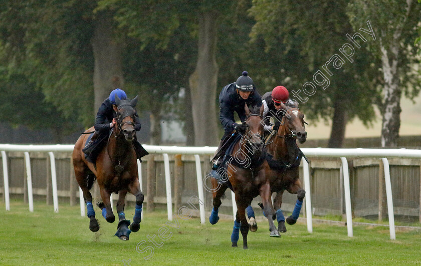 Emily-Upjohn-0006 
 EMILY UPJOHN (left, William Buick) in racecourse gallop with MIMIKYU (centre) and SOUL SISTER (right)
Newmarket 1 Jul 2023 - Pic Steven Cargill / Racingfotos.com