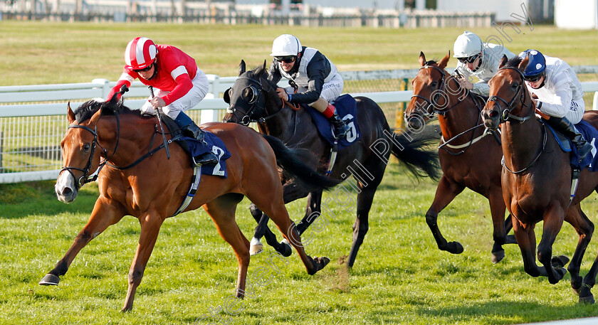 Al-Saariyah-0001 
 AL SAARIYAH (William Buick) beats VEDUTE (right) in The Ken Lindsay Memorial Nursery
Yarmouth 17 Sep 2020 - Pic Steven Cargill / Racingfotos.com