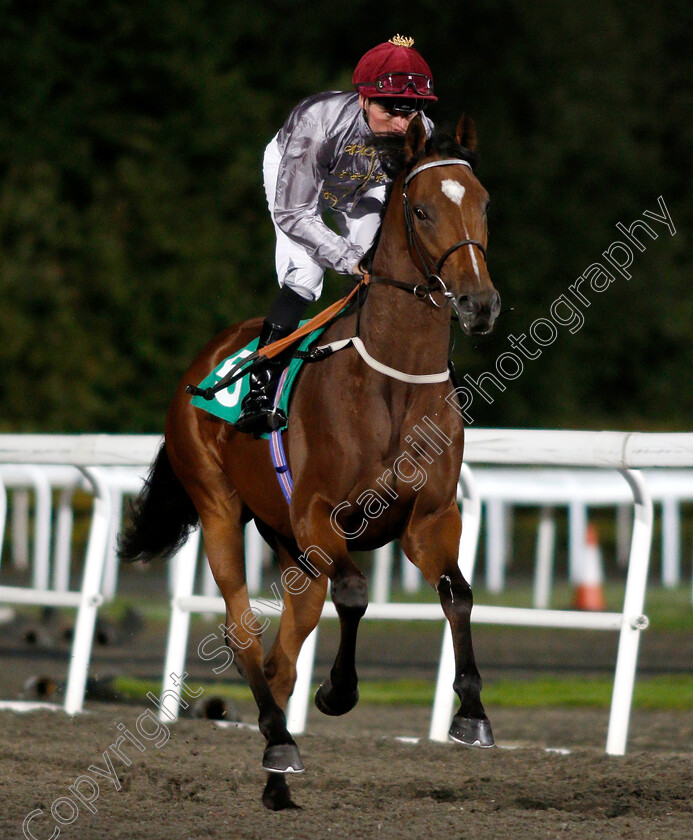 Al-Kherb-0001 
 AL KHERB (Kieran Shoemark)
Kempton 27 Sep 2018 - Pic Steven Cargill / Racingfotos.com