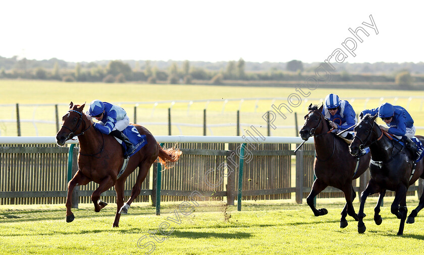 Skardu-0001 
 SKARDU (Martin Harley) wins The Derrinstown British EBF Maiden Stakes
Newmarket 28 Sep 2018 - Pic Steven Cargill / Racingfotos.com