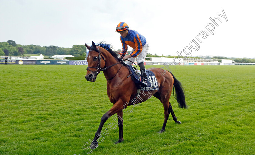 Henry-Longfellow-0001 
 HENRY LONGFELLOW (Ryan Moore)
Longchamp 12 May 2024 - Pic Steven Cargill / Racingfotos.com