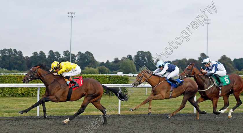 Afentiko-0002 
 AFENTIKO (Rossa Ryan) wins The Racing TV Nursery
Kempton 6 Sep 2024 - Pic Steven Cargill / Racingfotos.com