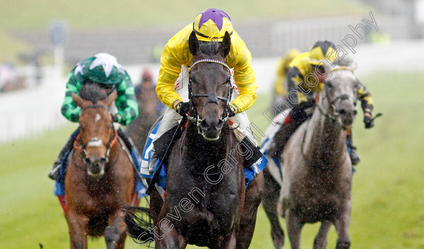 Amleto-0001 
 AMLETO (Tom Marquand) wins The Deepbridge Syndicate Maiden Stakes
Chester 10 May 2023 - Pic Steven Cargill / Racingfotos.com