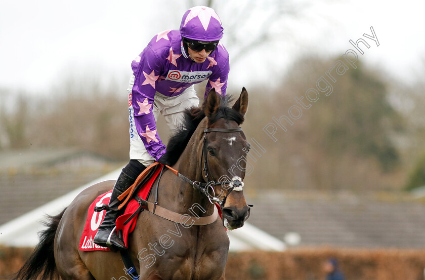 Rubaud-0006 
 RUBAUD (Harry Cobden) winner of The Ladbrokes Pendil Novices Chase
Kempton 22 Feb 2025 - Pic Steven Cargill / Racingfotos.com