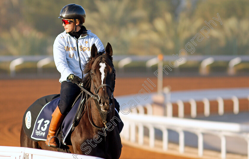 Songline-0002 
 SONGLINE training for The Turf Sprint
King Abdulaziz Racetrack, Riyadh, Saudi Arabia 22 Feb 2022 - Pic Steven Cargill / Racingfotos.com