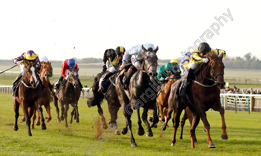 Pattie-0002 
 PATTIE (right, Gerald Mosse) beats CONTRIVE (centre) in The AR Legal Fillies Handicap
Newmarket 24 Oct 2018 - Pic Steven Cargill / Racingfotos.com