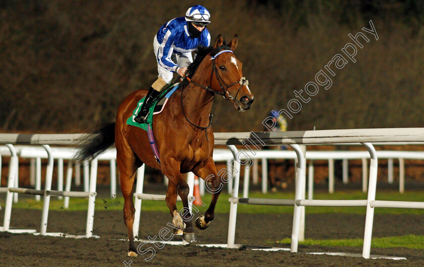 Top-Fox-0001 
 TOP FOX (Richard Kingscote) winner of The Unibet Casino Deposit £10 Get £40 Bonus Maiden Stakes
Kempton 24 Feb 2021 - Pic Steven Cargill / Racingfotos.com