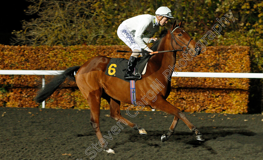 Catherine-Bay-0001 
 CATHERINE BAY (David Probert)
Kempton 20 Nov 2019 - Pic Steven Cargill / Racingfotos.com