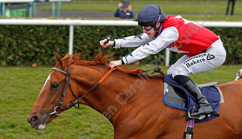 Proschema-0004 
 PROSCHEMA (Richard Kingscote) wins The 32Red Casino Maiden Stakes Doncaster 24 Mar 2018 - Pic Steven Cargill / Racingfotos.com