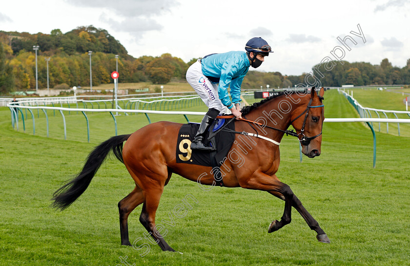 Distinction-0001 
 DISTINCTION (Clifford Lee)
Nottingham 14 Oct 2020 - Pic Steven Cargill / Racingfotos.com