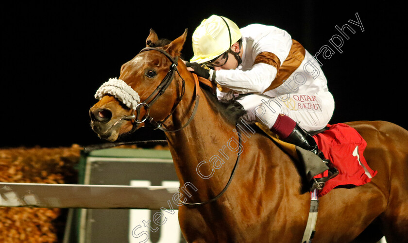 Lessay-0002 
 LESSAY (Oisin Murphy) wins The Unibet / British Stallion Studs EBF Novice Stakes
Kempton 13 Dec 2023 - Pic Steven Cargill / Racingfotos.com