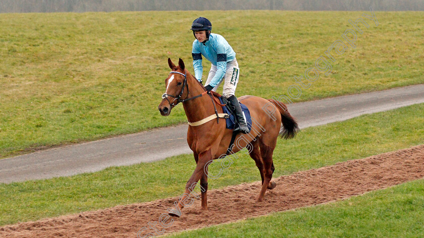 Conceal-0002 
 CONCEAL (Tom Bellamy) 
Chepstow 7 Dec 2019 - Pic Steven Cargill / Racingfotos.com