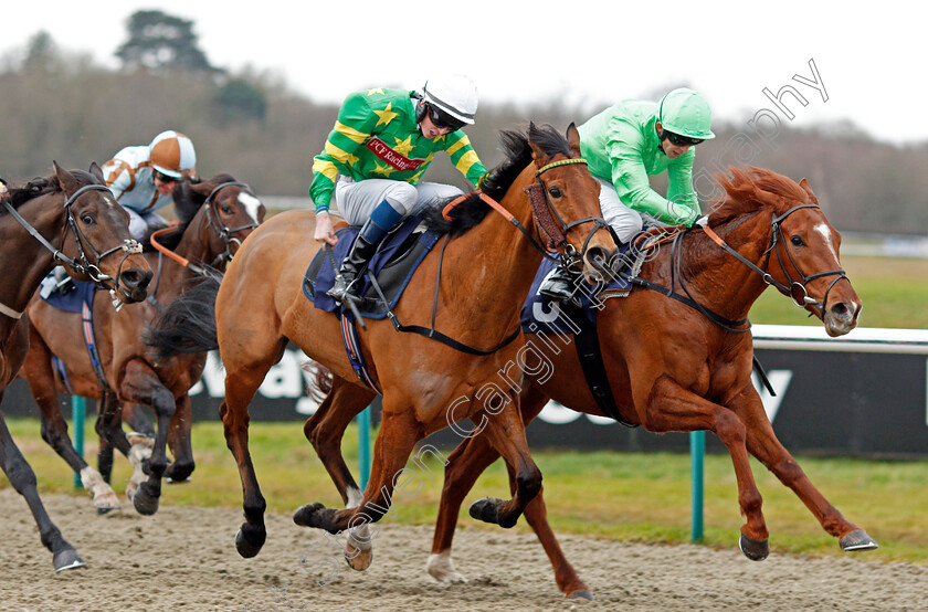 River-Dawn-0003 
 RIVER DAWN (right, Ben Curtis) beats MR MAC (left) in The Bombardier Golden Beer Handicap Div2
Lingfield 2 Jan 2020 - Pic Steven Cargill / Racingfotos.com