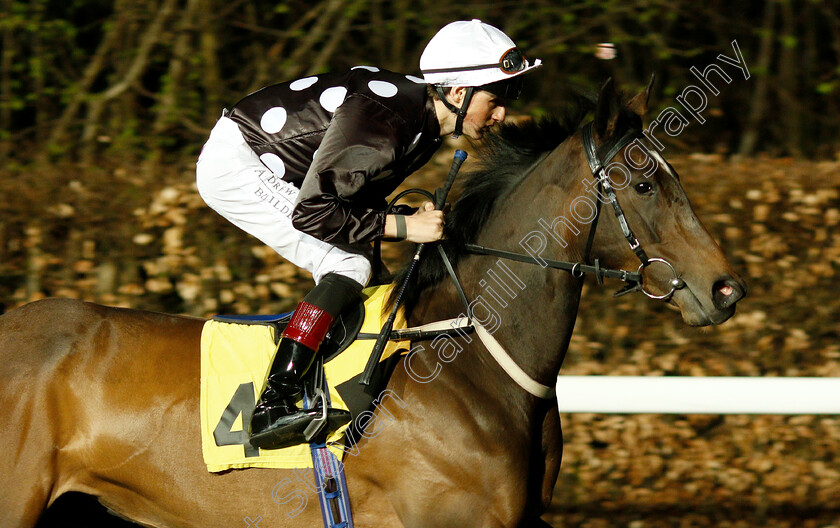 Lady-Mascara-0001 
 LADY MASCARA (George Wood)
Kempton 23 Mar 2019 - Pic Steven Cargill / Racingfotos.com