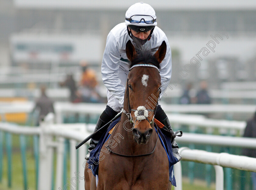 Super-Den-0002 
 SUPER DEN (Ray Dawson)
Doncaster 7 Nov 2020 - Pic Steven Cargill / Racingfotos.com