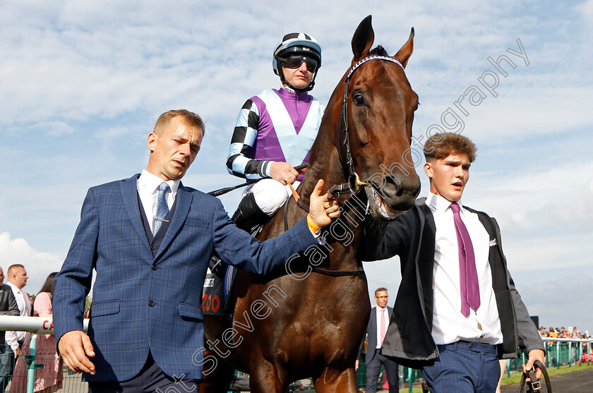 El-Habeeb-0001 
 EL HABEEB (P J McDonald)
Doncaster 11 Sep 2022 - Pic Steven Cargill / Racingfotos.com