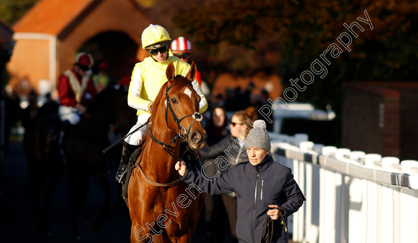 Choisya-0001 
 CHOISYA (James Doyle)
Newmarket 25 Oct 2023 - Pic Steven Cargill / Racingfotos.com